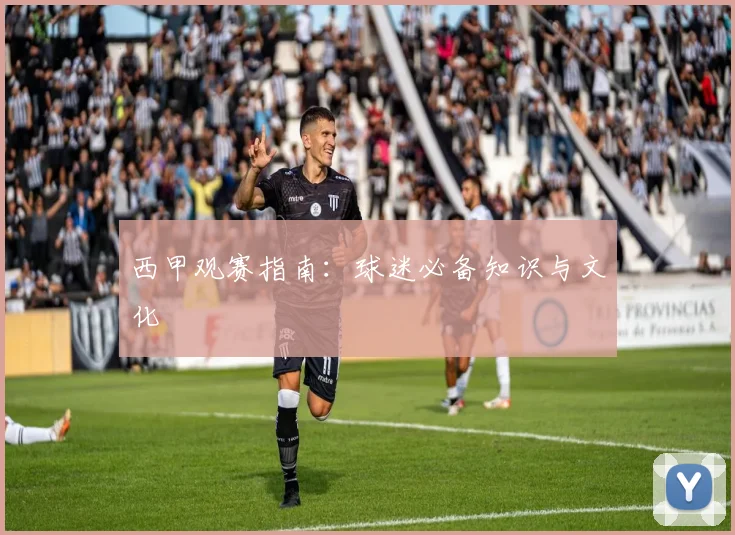 西甲观赛指南：球迷必备知识与文化
